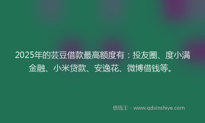 2025年的芸豆借款最高额度有：投友圈、度小满金融、小米贷款、安逸花、微博借钱等。
