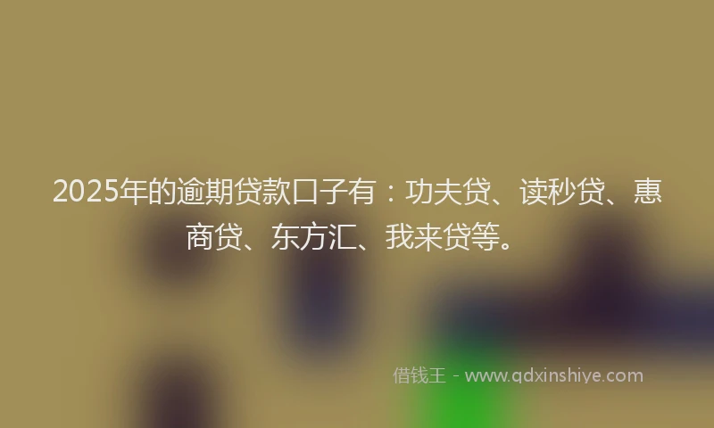 2025年的逾期贷款口子有：功夫贷、读秒贷、惠商贷、东方汇、我来贷等。