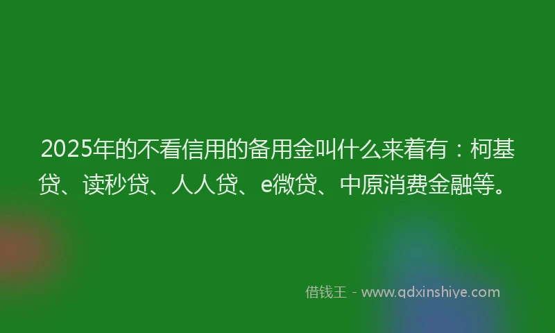 2025年的不看信用的备用金叫什么来着有：柯基贷、读秒贷、人人贷、e微贷、中原消费金融等。