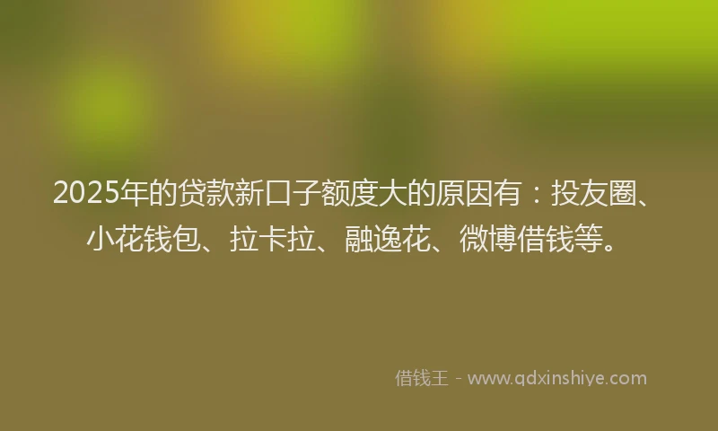 2025年的贷款新口子额度大的原因有：投友圈、小花钱包、拉卡拉、融逸花、微博借钱等。