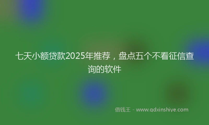 七天小额贷款2025年推荐，盘点五个不看征信查询的软件