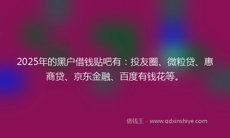 2025年的黑户借钱贴吧有：投友圈、微粒贷、惠商贷、京东金融、百度有钱花等。