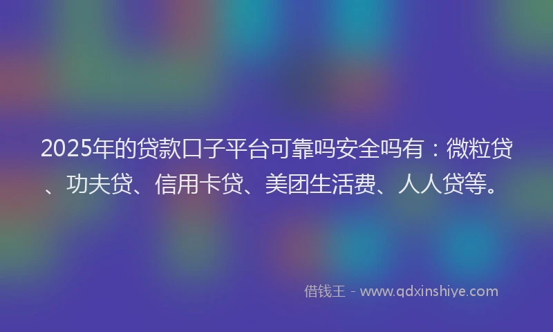 2025年的贷款口子平台可靠吗安全吗有：微粒贷、功夫贷、信用卡贷、美团生活费、人人贷等。