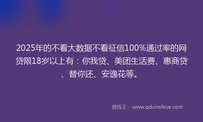 2025年的不看大数据不看征信100%通过率的网贷限18岁以上有：你我贷、美团生活费、惠商贷、替你还、安逸花等。