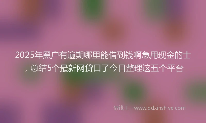 2025年黑户有逾期哪里能借到钱啊急用现金的士，总结5个最新网贷口子今日整理这五个平台