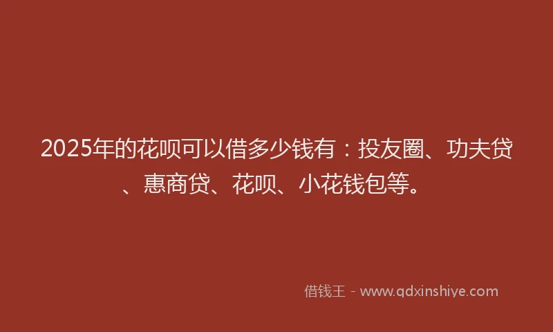 2025年的花呗可以借多少钱有：投友圈、功夫贷、惠商贷、花呗、小花钱包等。