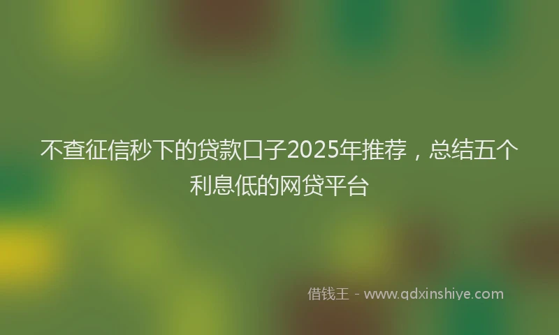 不查征信秒下的贷款口子2025年推荐，总结五个利息低的网贷平台