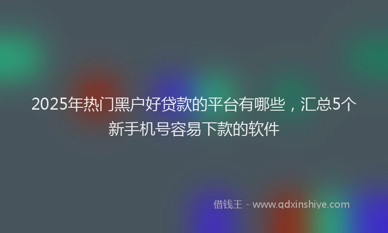 2025年热门黑户好贷款的平台有哪些，汇总5个新手机号容易下款的软件