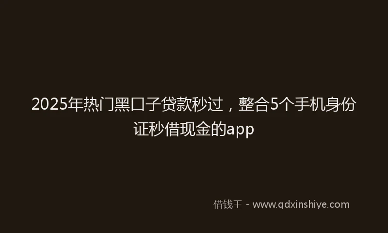 2025年热门黑口子贷款秒过，整合5个手机身份证秒借现金的app