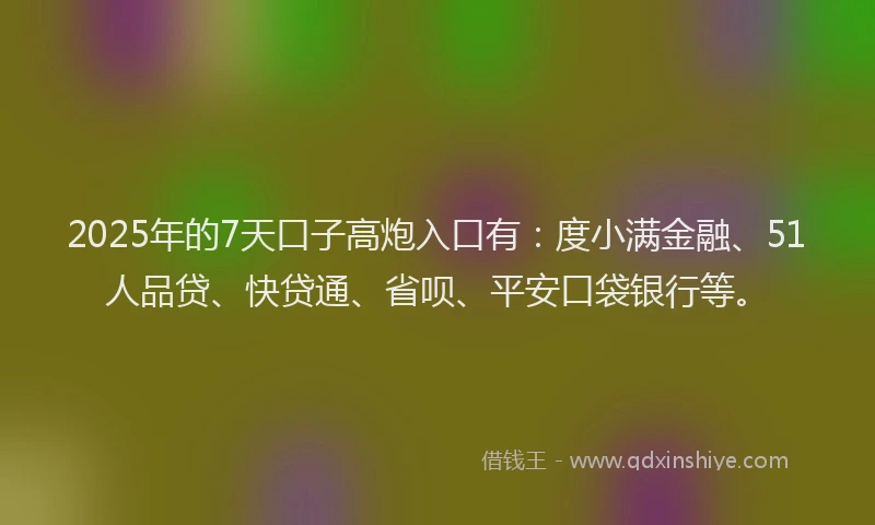 2025年的7天口子高炮入口有：度小满金融、51人品贷、快贷通、省呗、平安口袋银行等。