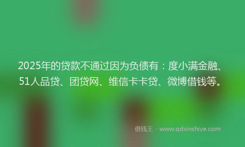 2025年的贷款不通过因为负债有：度小满金融、51人品贷、团贷网、维信卡卡贷、微博借钱等。