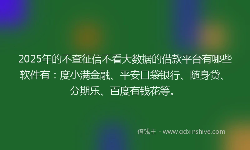 2025年的不查征信不看大数据的借款平台有哪些软件有：度小满金融、平安口袋银行、随身贷、分期乐、百度有钱花等。