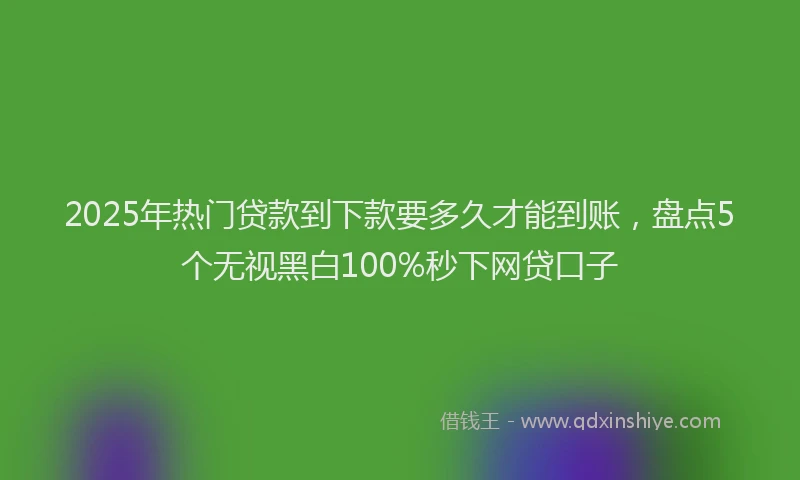 2025年热门贷款到下款要多久才能到账，盘点5个无视黑白100%秒下网贷口子