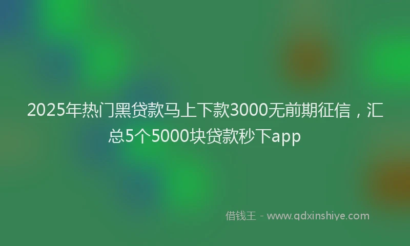 2025年热门黑贷款马上下款3000无前期征信，汇总5个5000块贷款秒下app