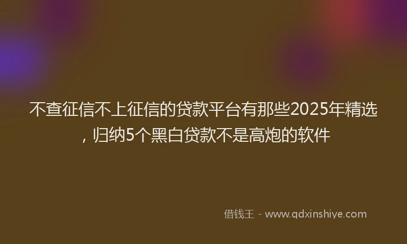 不查征信不上征信的贷款平台有那些2025年精选，归纳5个黑白贷款不是高炮的软件