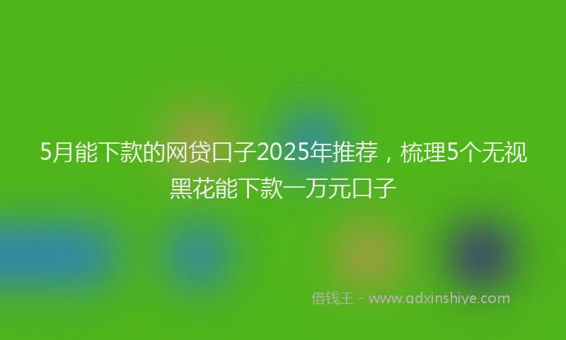 5月能下款的网贷口子2025年推荐，梳理5个无视黑花能下款一万元口子
