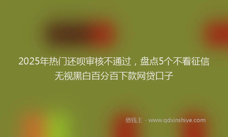2025年热门还呗审核不通过，盘点5个不看征信无视黑白百分百下款网贷口子