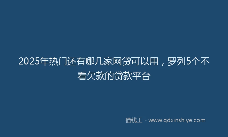 2025年热门还有哪几家网贷可以用，罗列5个不看欠款的贷款平台