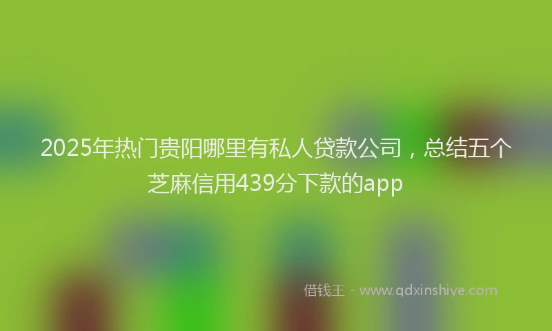 2025年热门贵阳哪里有私人贷款公司，总结五个芝麻信用439分下款的app
