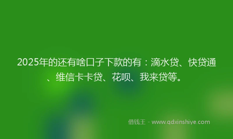 2025年的还有啥口子下款的有：滴水贷、快贷通、维信卡卡贷、花呗、我来贷等。