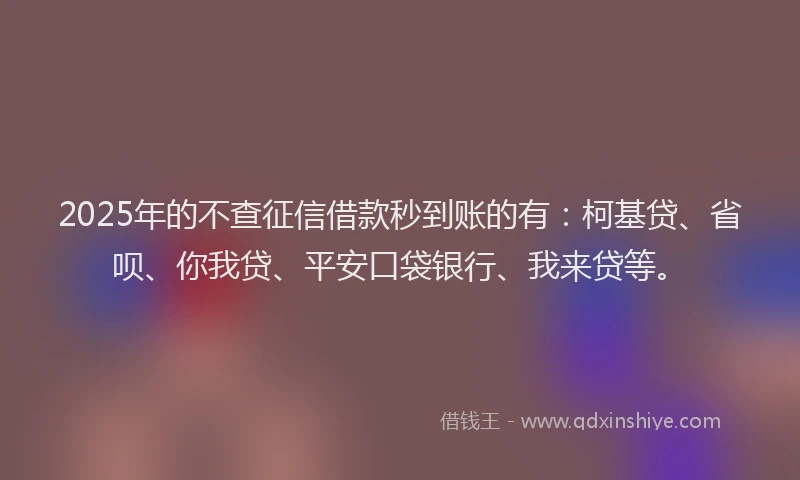 2025年的不查征信借款秒到账的有：柯基贷、省呗、你我贷、平安口袋银行、我来贷等。