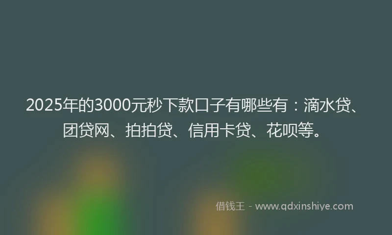 2025年的3000元秒下款口子有哪些有：滴水贷、团贷网、拍拍贷、信用卡贷、花呗等。