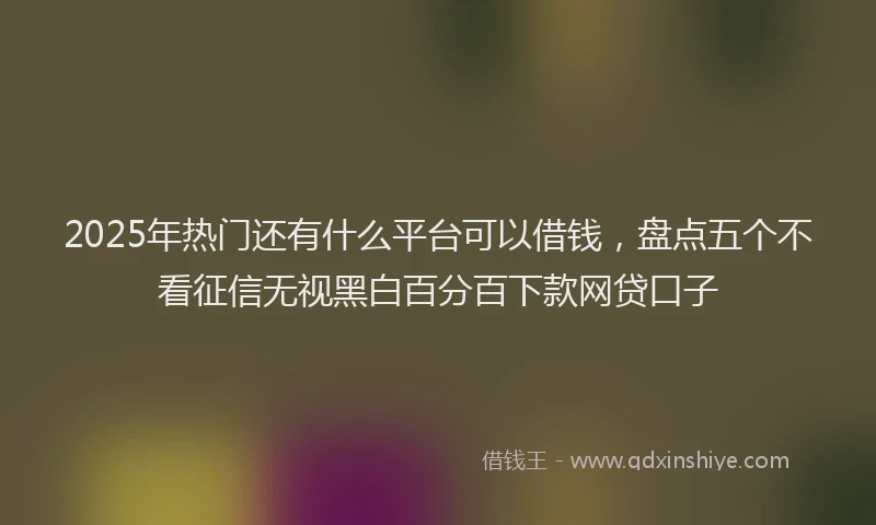 2025年热门还有什么平台可以借钱，盘点五个不看征信无视黑白百分百下款网贷口子