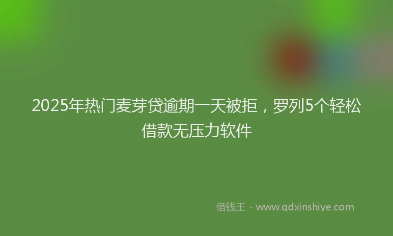 2025年热门麦芽贷逾期一天被拒，罗列5个轻松借款无压力软件