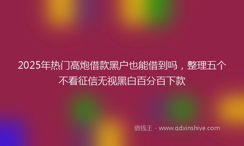 2025年热门高炮借款黑户也能借到吗，整理五个不看征信无视黑白百分百下款