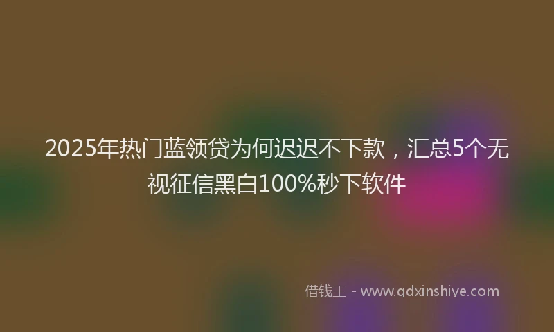 2025年热门蓝领贷为何迟迟不下款，汇总5个无视征信黑白100%秒下软件