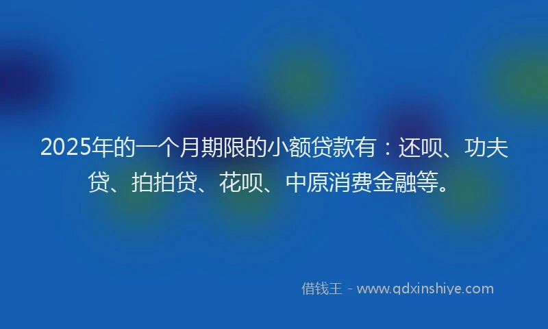 2025年的一个月期限的小额贷款有：还呗、功夫贷、拍拍贷、花呗、中原消费金融等。