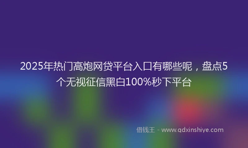 2025年热门高炮网贷平台入口有哪些呢，盘点5个无视征信黑白100%秒下平台