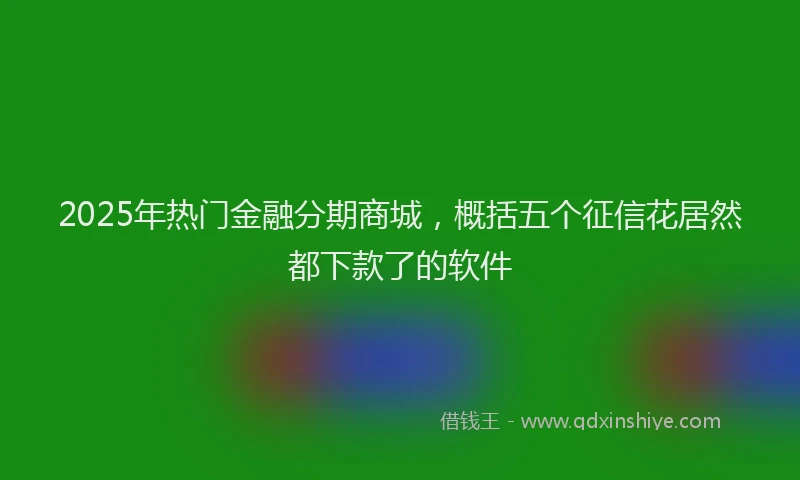2025年热门金融分期商城，概括五个征信花居然都下款了的软件