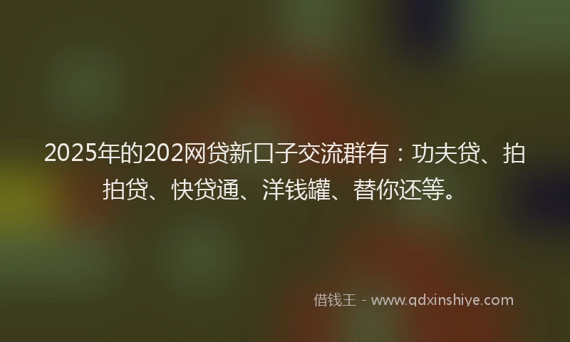 2025年的202网贷新口子交流群有：功夫贷、拍拍贷、快贷通、洋钱罐、替你还等。