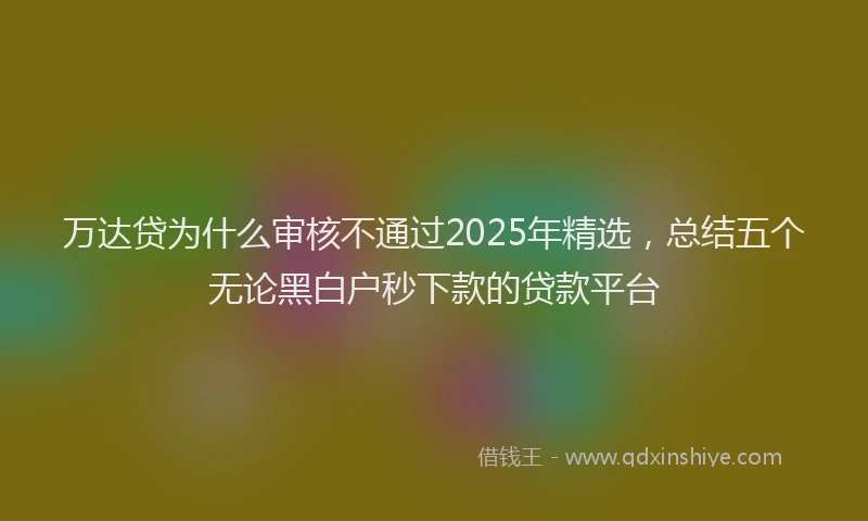 万达贷为什么审核不通过2025年精选，总结五个无论黑白户秒下款的贷款平台