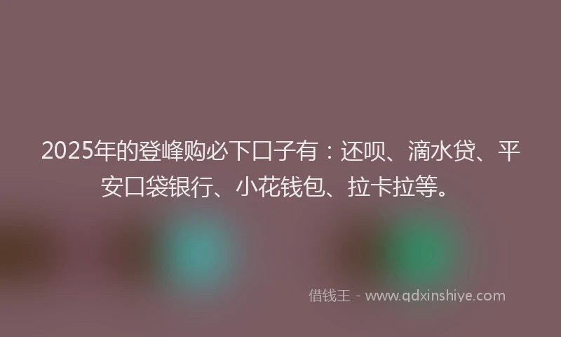 2025年的登峰购必下口子有：还呗、滴水贷、平安口袋银行、小花钱包、拉卡拉等。