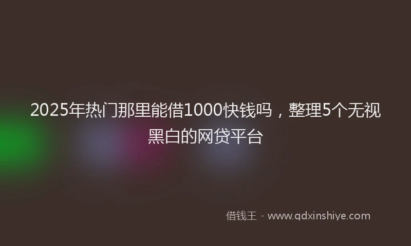 2025年热门那里能借1000快钱吗，整理5个无视黑白的网贷平台