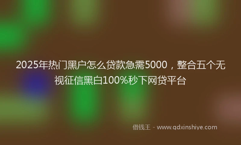 2025年热门黑户怎么贷款急需5000，整合五个无视征信黑白100%秒下网贷平台