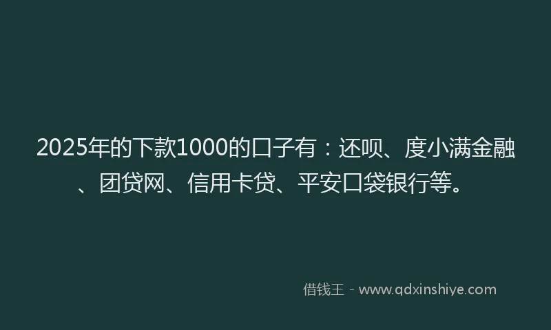 2025年的下款1000的口子有：还呗、度小满金融、团贷网、信用卡贷、平安口袋银行等。