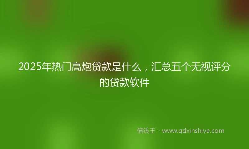 2025年热门高炮贷款是什么，汇总五个无视评分的贷款软件