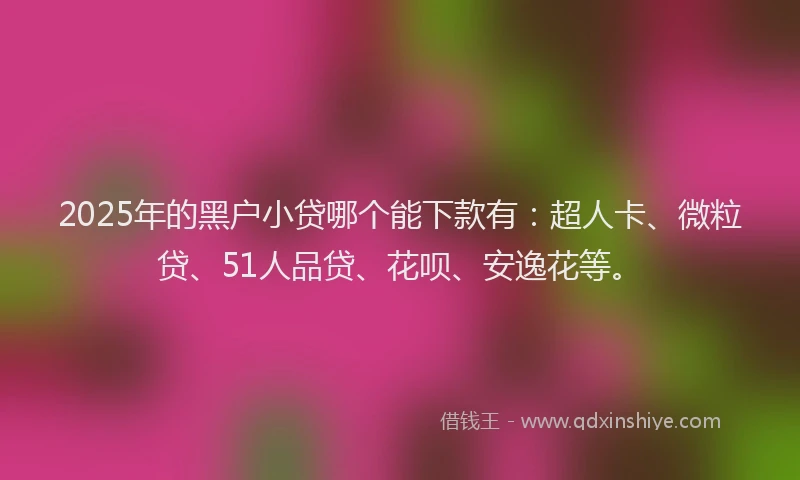 2025年的黑户小贷哪个能下款有：超人卡、微粒贷、51人品贷、花呗、安逸花等。