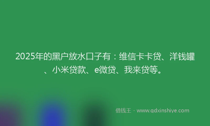 2025年的黑户放水口子有：维信卡卡贷、洋钱罐、小米贷款、e微贷、我来贷等。