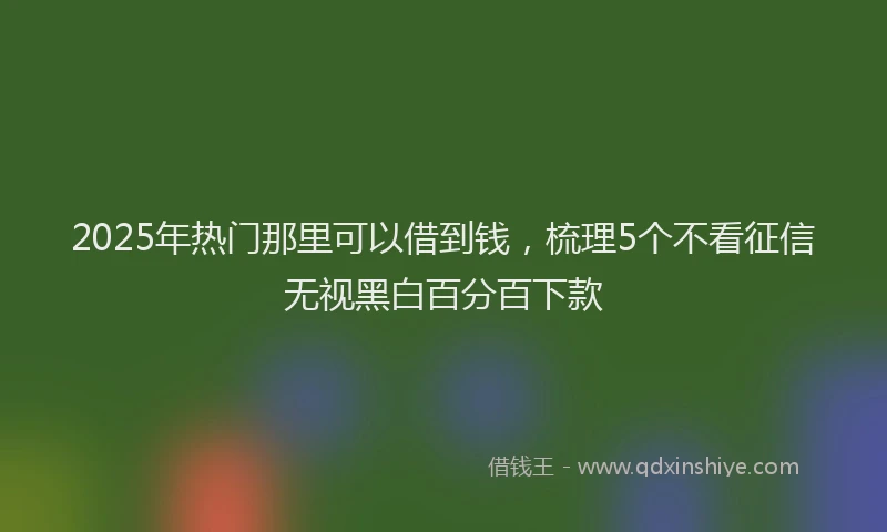 2025年热门那里可以借到钱，梳理5个不看征信无视黑白百分百下款