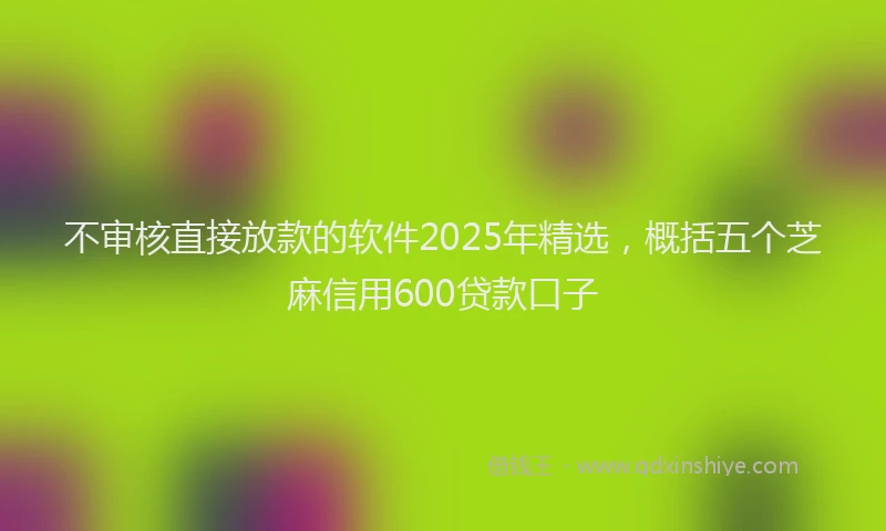 不审核直接放款的软件2025年精选，概括五个芝麻信用600贷款口子
