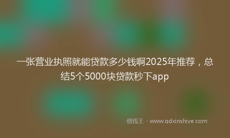 一张营业执照就能贷款多少钱啊2025年推荐，总结5个5000块贷款秒下app