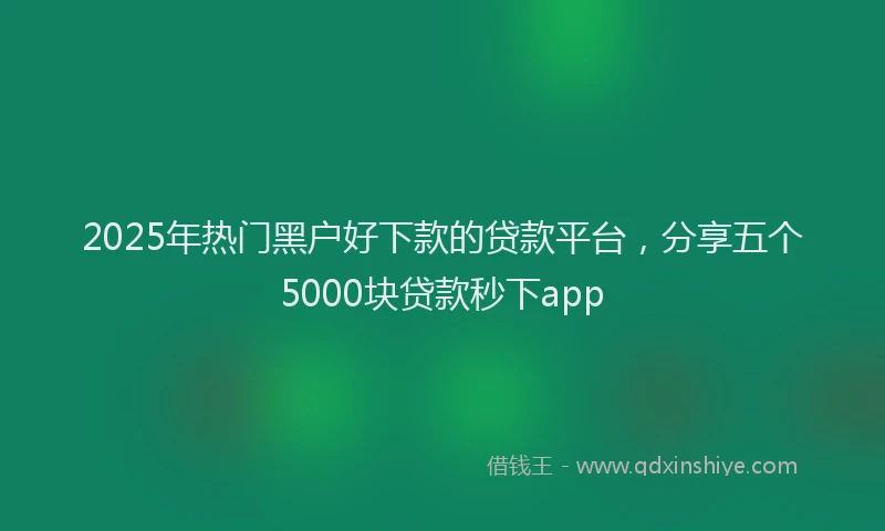 2025年热门黑户好下款的贷款平台，分享五个5000块贷款秒下app