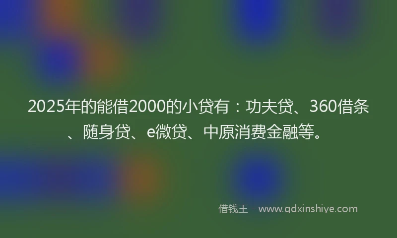 2025年的能借2000的小贷有：功夫贷、360借条、随身贷、e微贷、中原消费金融等。