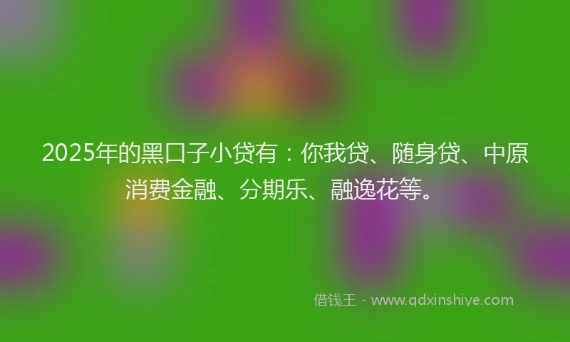 2025年的黑口子小贷有：你我贷、随身贷、中原消费金融、分期乐、融逸花等。