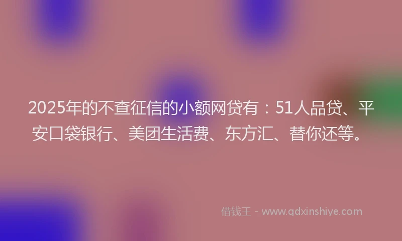 2025年的不查征信的小额网贷有：51人品贷、平安口袋银行、美团生活费、东方汇、替你还等。
