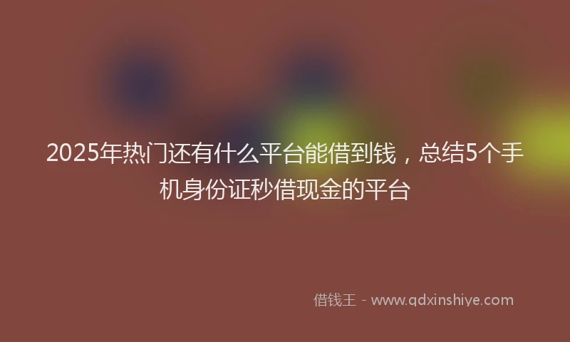 2025年热门还有什么平台能借到钱，总结5个手机身份证秒借现金的平台